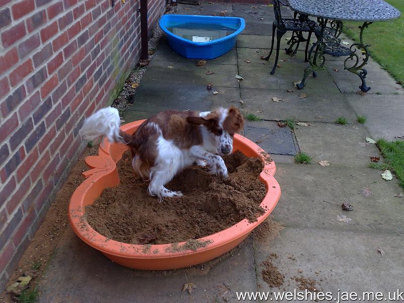 2009-10-25 01.jpg - Is this what the mean by gentle exercise after my op?